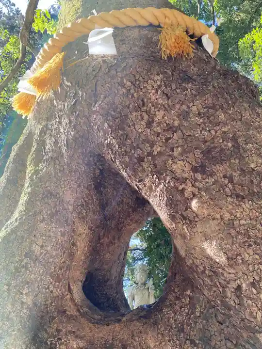 笠森寺の{uncategorized: "未分類", other: "その他", undefined: "問題あり", building: "その他建物", grave: "お墓", sacred_gate: "鳥居", guardian: "狛犬", statue: "像", buddha: "仏像", history: "歴史", nature: "自然", garden: "庭園", animal: "動物", pagoda: "塔", temizu: "手水舎", mountain_gate: "山門・神門", sanctuary: "本殿・本堂", subordinate: "末社・摂社", art: "芸術", scenery: "景色", jizo: "地蔵", ema: "絵馬", goshuin: "御朱印", omikuji: "おみくじ", items: "授与品その他", amulet: "お守り", goshuincho: "御朱印帳", eats: "食事", festival: "お祭り", votive_dance: "神楽", shichigosan: "七五三参", wedding: "結婚式", experience: "体験その他", initially: "初詣", around: "周辺", anti_infection: "感染症対策"}