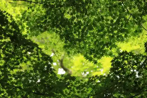 三春大神宮の庭園