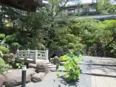 岡寺（龍蓋寺）(奈良県)