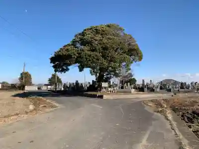 真光寺(千葉県)