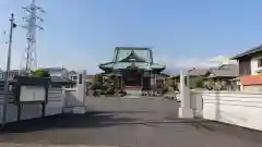 泰徳寺の山門