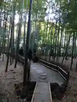 報国寺(神奈川県)