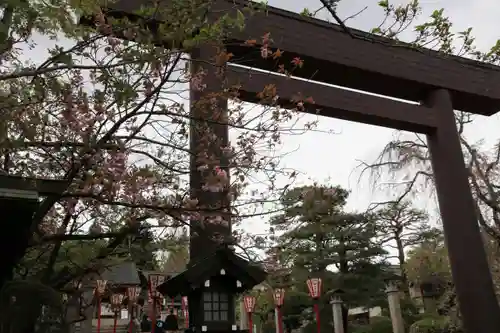 開成山大神宮の鳥居