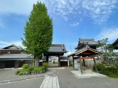 明性寺の{uncategorized: "未分類", other: "その他", undefined: "問題あり", building: "その他建物", grave: "お墓", sacred_gate: "鳥居", guardian: "狛犬", statue: "像", buddha: "仏像", history: "歴史", nature: "自然", garden: "庭園", animal: "動物", pagoda: "塔", temizu: "手水舎", mountain_gate: "山門・神門", sanctuary: "本殿・本堂", subordinate: "末社・摂社", art: "芸術", scenery: "景色", jizo: "地蔵", ema: "絵馬", goshuin: "御朱印", omikuji: "おみくじ", items: "授与品その他", amulet: "お守り", goshuincho: "御朱印帳", eats: "食事", festival: "お祭り", votive_dance: "神楽", shichigosan: "七五三参", wedding: "結婚式", experience: "体験その他", initially: "初詣", around: "周辺", anti_infection: "感染症対策"}