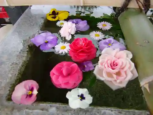 今市報徳二宮神社の手水舎