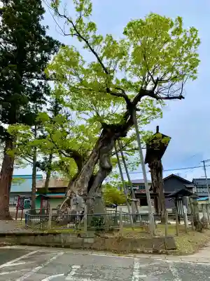新宮熊野神社(福島県)