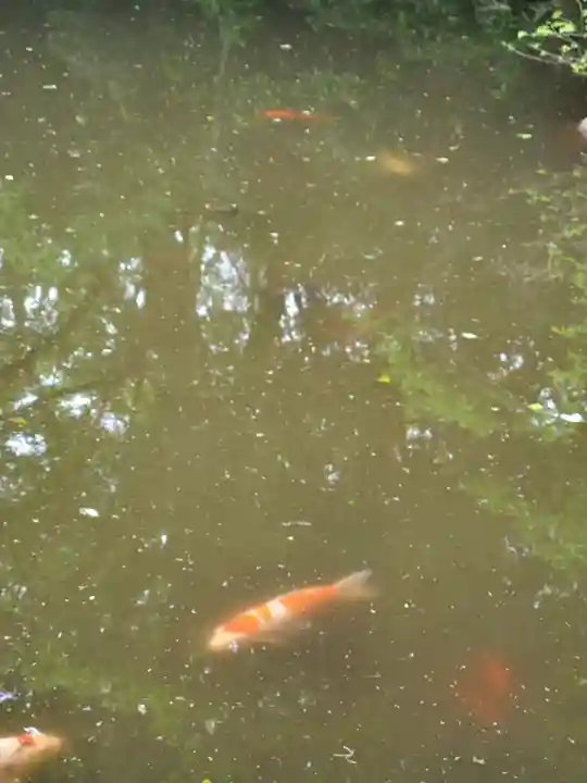 金蔵寺(千葉県)