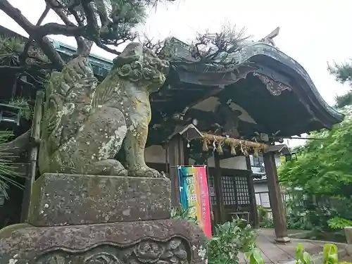 八幡神社の狛犬