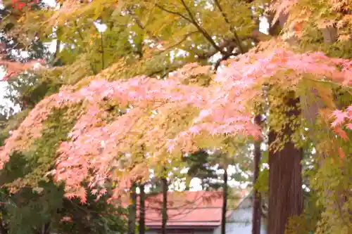 天津神社(新潟県)