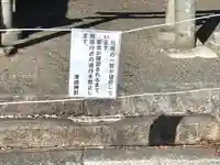 津島神社(滋賀県)