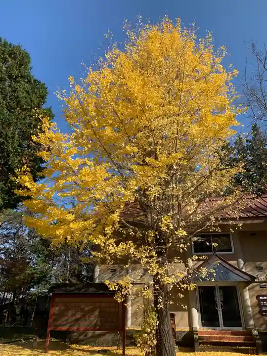冨士御室浅間神社の自然