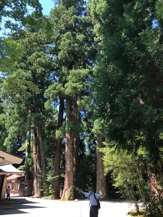 白山比咩神社の自然