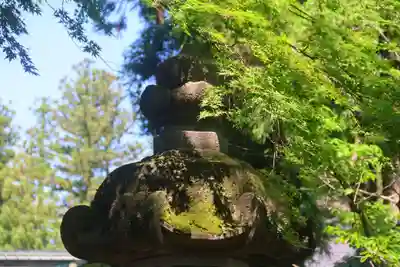 神炊館神社 ⁂奥州須賀川総鎮守⁂の景色
