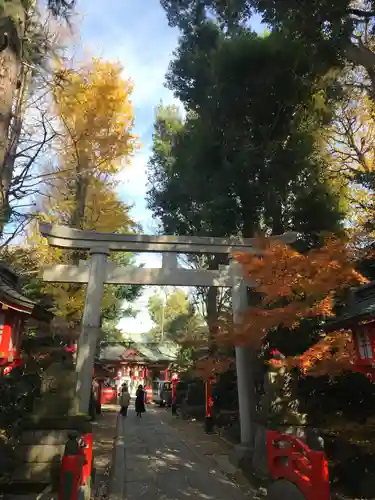 馬橋稲荷神社の鳥居