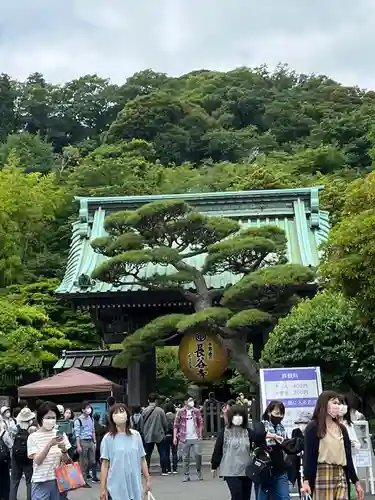 長谷寺(神奈川県)
