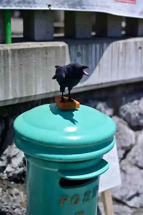 高塚熊野神社(静岡県)