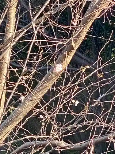 神應寺(京都府)