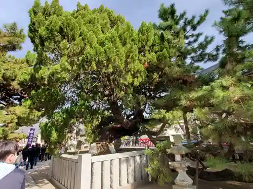 高砂神社の庭園