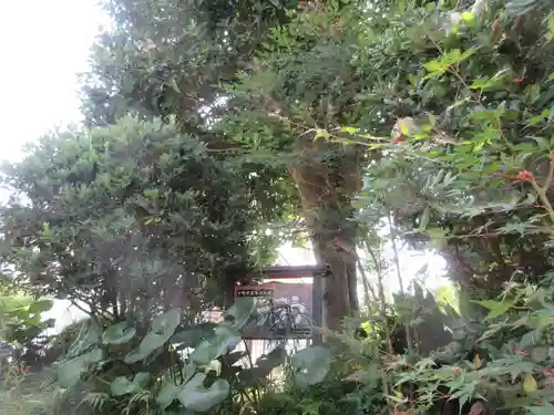 龍興寺(栃木県)