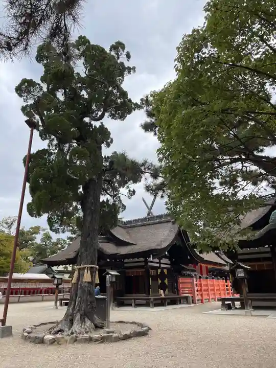 住吉大社(大阪府)