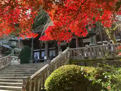 最乗寺（道了尊）(神奈川県)
