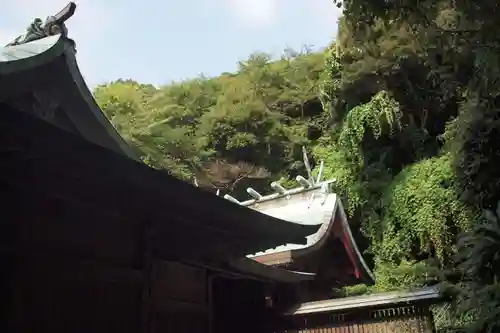 洲崎神社の本殿・本堂