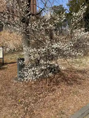 湯島聖堂(東京都)