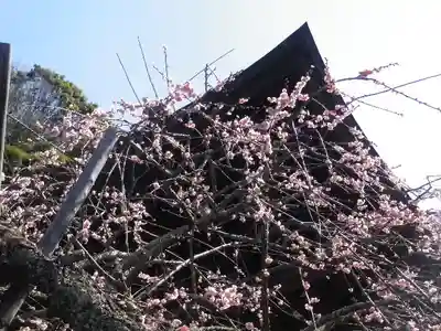 瑞泉寺のその他建物