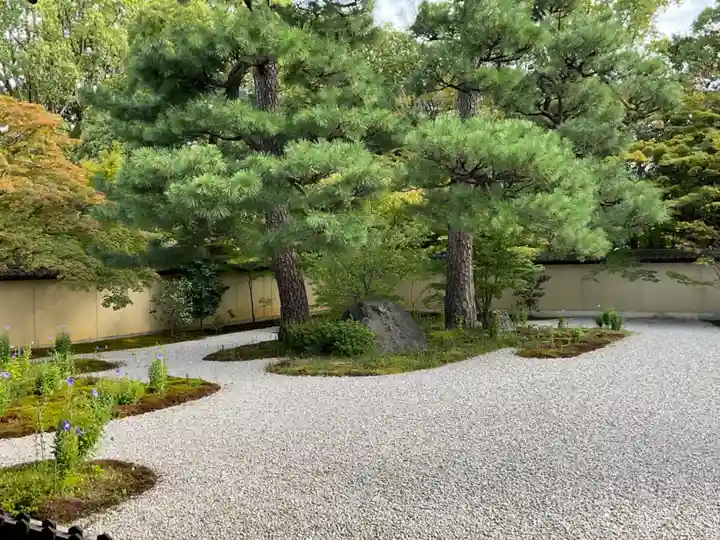 廬山寺(廬山天台講寺)(京都府)