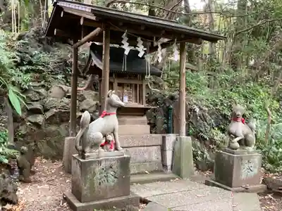 赤坂氷川神社の狛犬