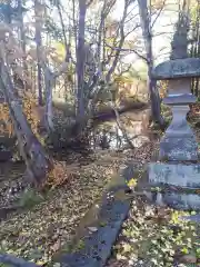 樺山神社の自然