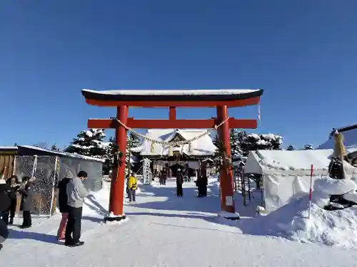 美瑛神社の初詣