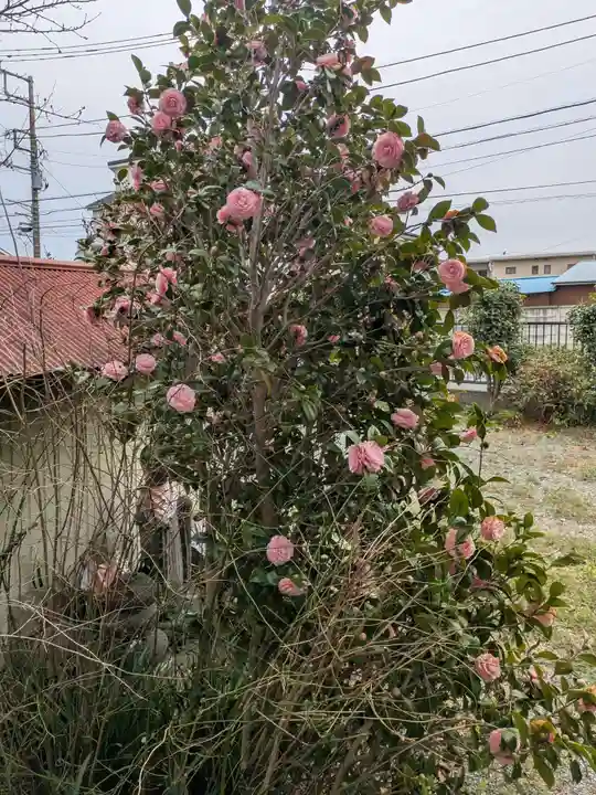 景観寺(神奈川県)