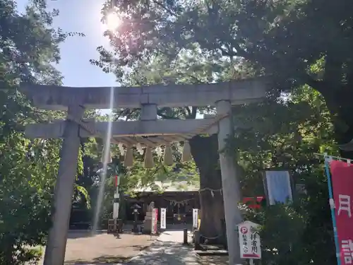 新田神社(東京都)