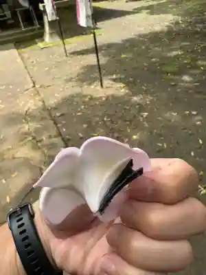 熊野神社のおみくじ