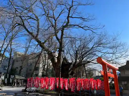 秩父今宮神社の鳥居