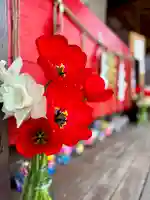 伊達神社(北海道)