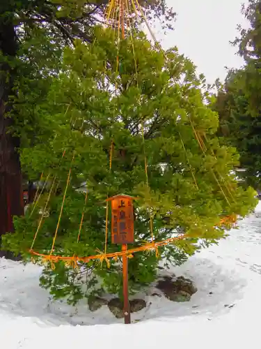 北海道神宮(北海道)