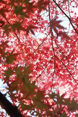 浄智寺(神奈川県)