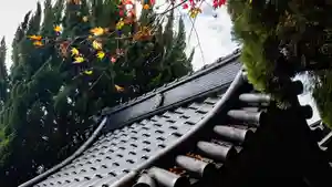 石内のお大師さん 金剛院(広島県)(2022年12月04日(日) 07時20分50秒投稿)