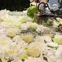 札幌諏訪神社の手水舎