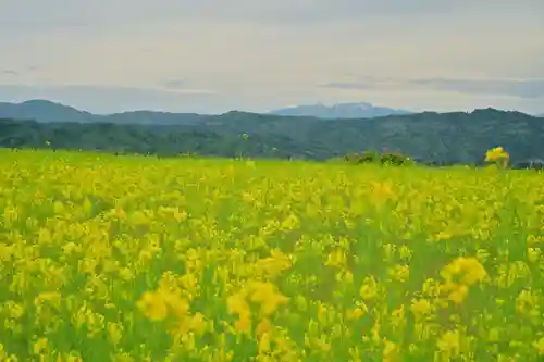 沢山神社（澤山神社)(新潟県)