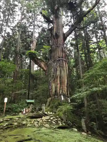志和稲荷神社の自然