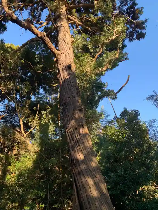 稲荷神社(千葉県)