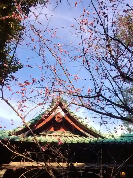 赤坂氷川神社(東京都)
