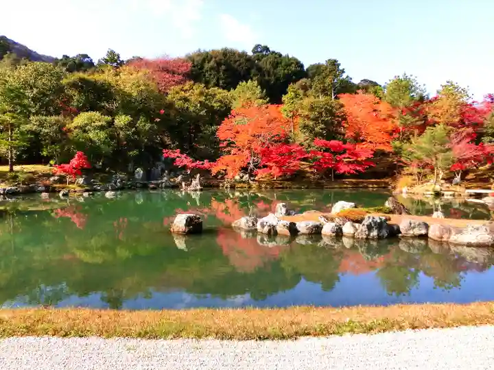 天龍寺の庭園