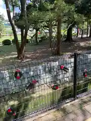 朽瀬神社(福岡県)