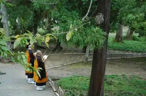 大覚寺の建物その他