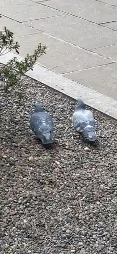 世田谷八幡宮の御朱印
