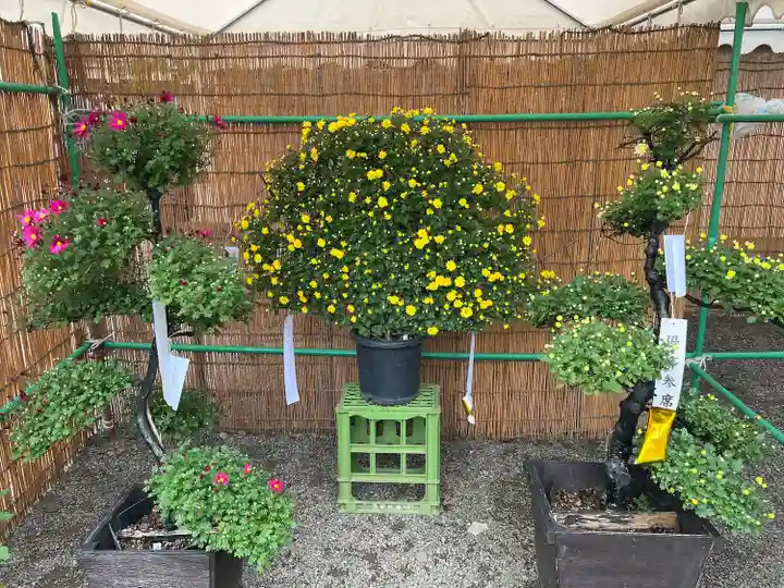高麗神社(埼玉県)